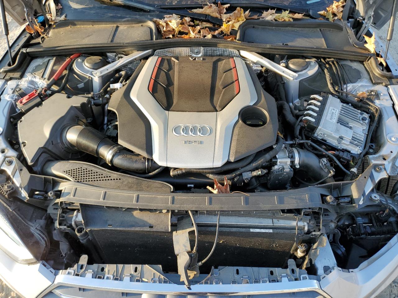 2018 Audi RS5 VIN WAUB4DF54JA045880 Copart auction photo, side damage thumbnail 11