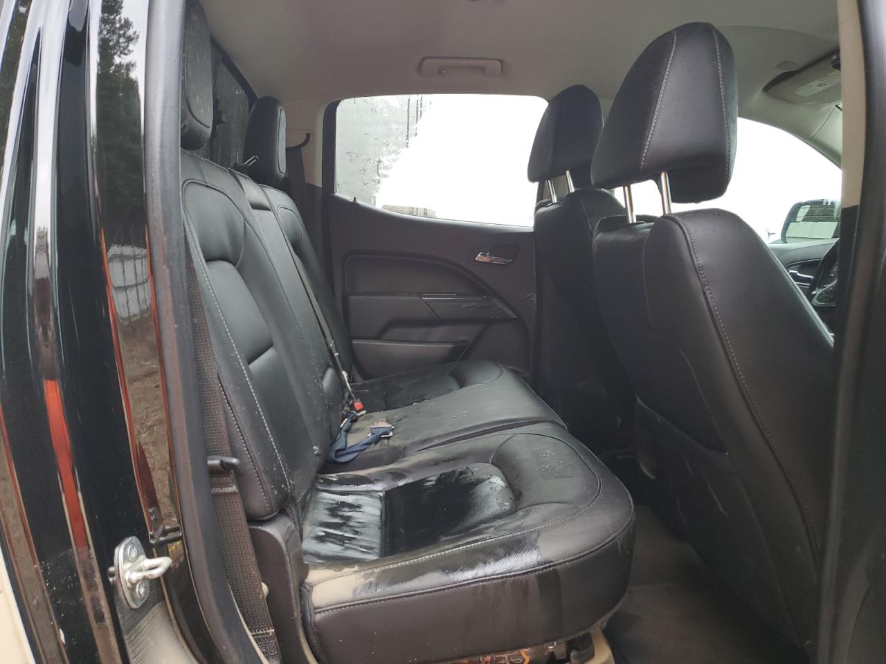 2019 Chevrolet Colorado VIN 1GCGTEEN5K1132045 Copart auction photo, water/flood damage thumbnail 10
