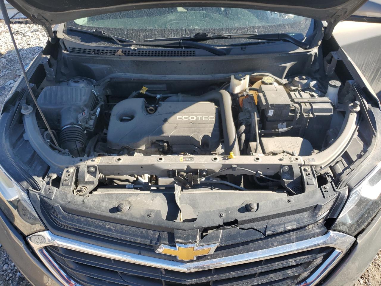 2019 Chevrolet Equinox VIN 3GNAXKEV1KS579535 Copart auction photo, rear end damage thumbnail 12