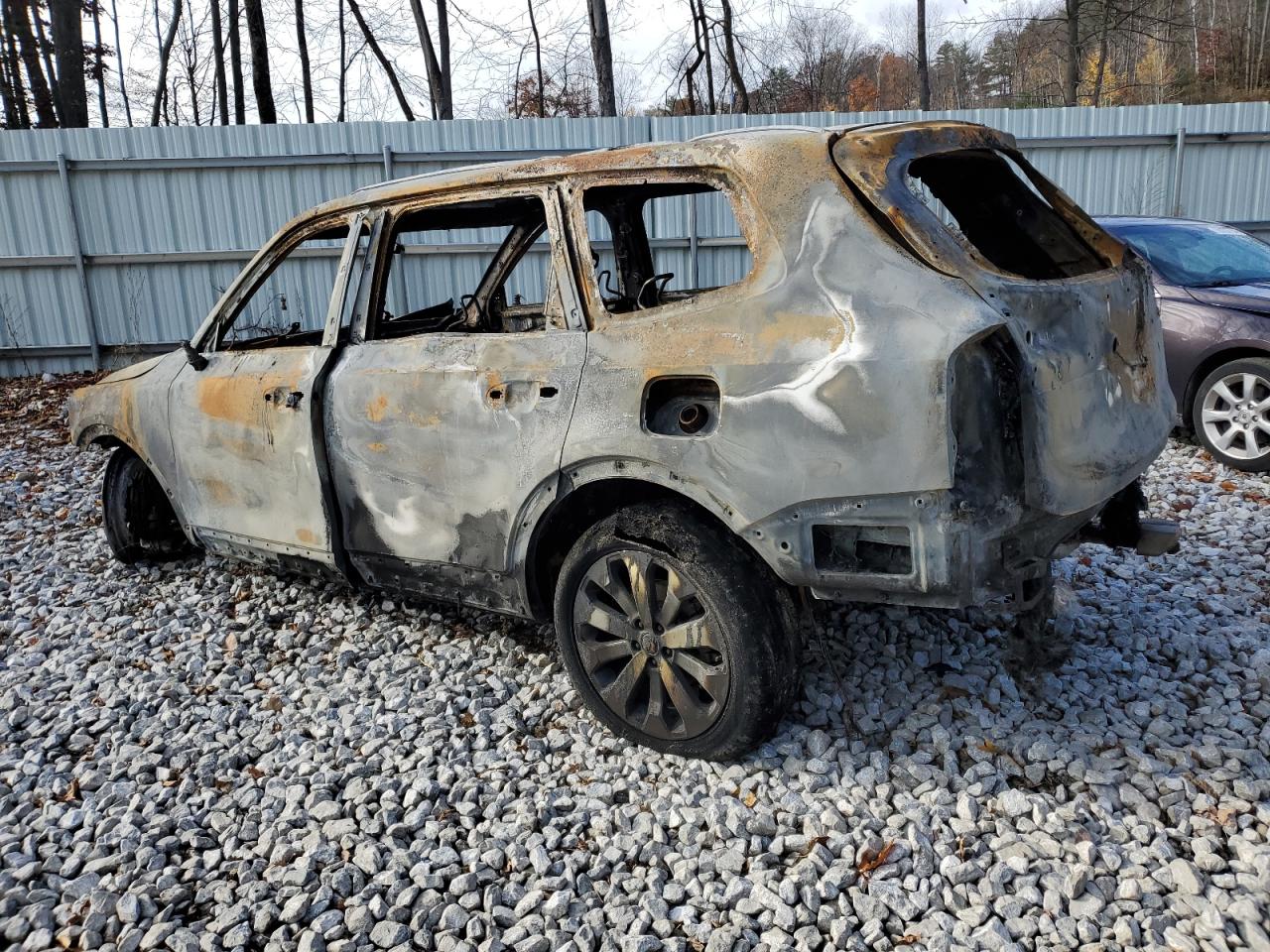 2021 KIA Telluride VIN 5XYP6DHC7MG138900 Copart auction photo, burn damage thumbnail 2