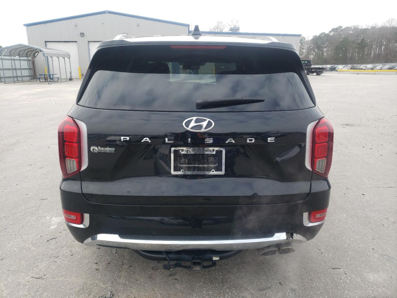 2020 Hyundai Palisade VIN KM8R54HE5LU162294 Copart auction photo, all over damage thumbnail 6