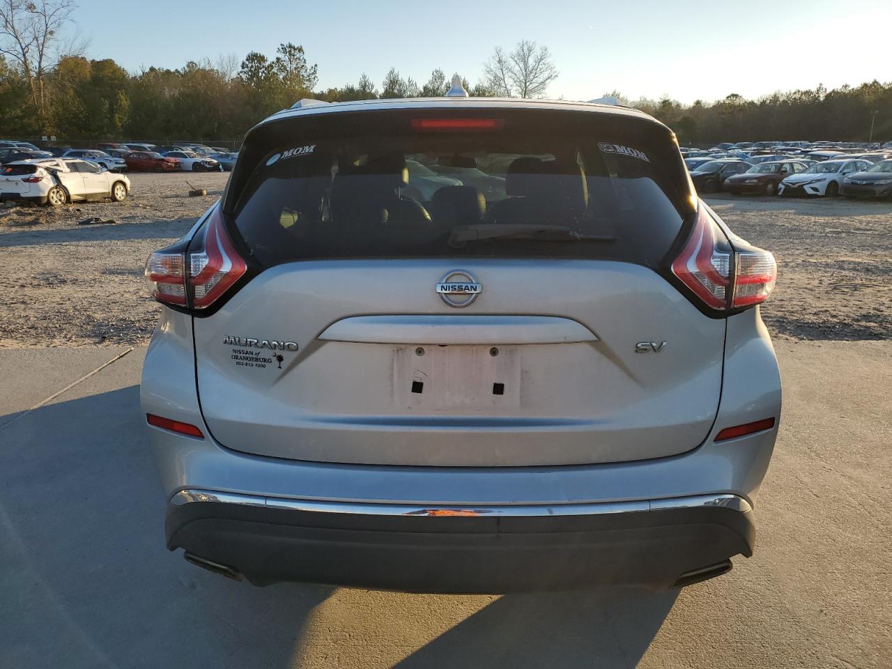 2017 Nissan Murano VIN 5N1AZ2MG0HN109355 Copart auction photo, side damage thumbnail 6