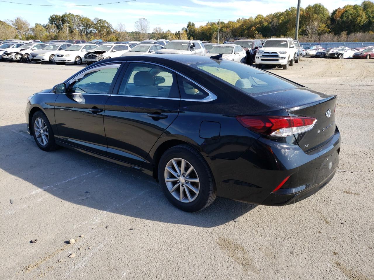 2019 Hyundai Sonata VIN 5NPE24AF4KH819500 Copart auction photo, vandalism damage thumbnail 2