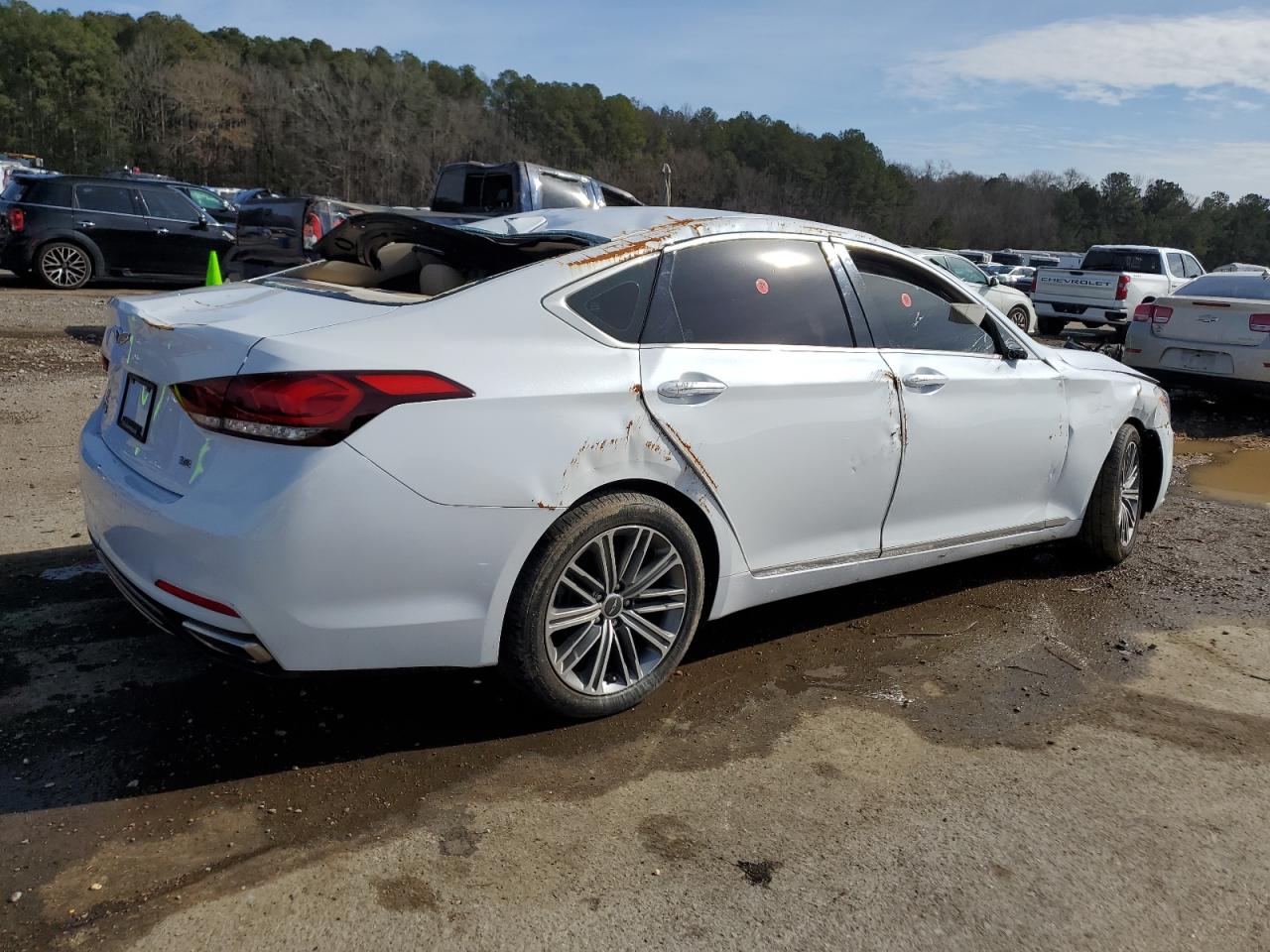 2019 Genesis G80 VIN KMHGN4JE3KU286810 Copart auction photo, biohazard/chemical / all over damage thumbnail 3