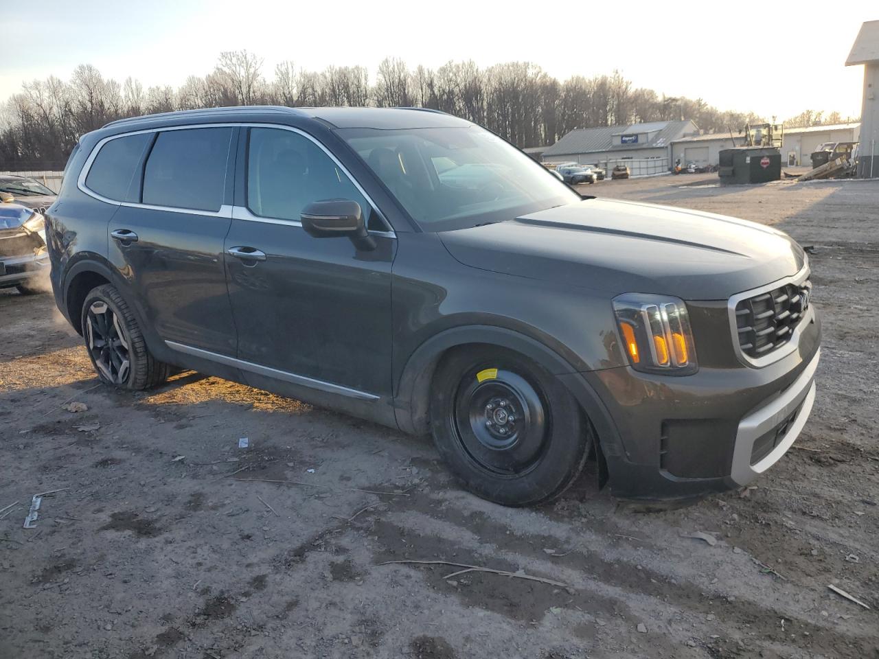 2024 KIA Telluride VIN 5XYP6DGC2RG552417 Copart auction photo, side damage thumbnail 4