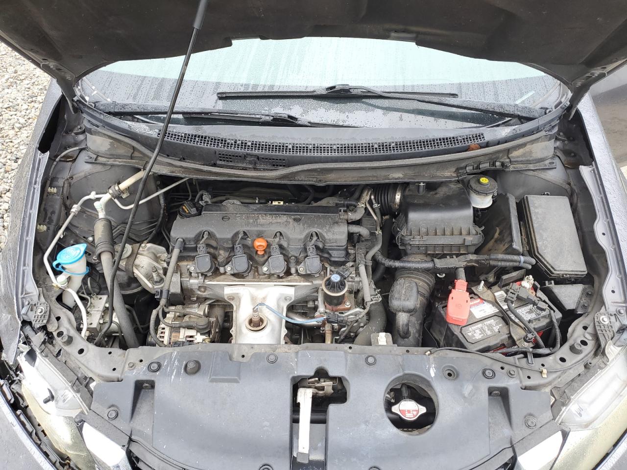 2015 Honda Civic VIN 2HGFB2F91FH503502 Copart auction photo, front end / minor dent/scratches damage thumbnail 11