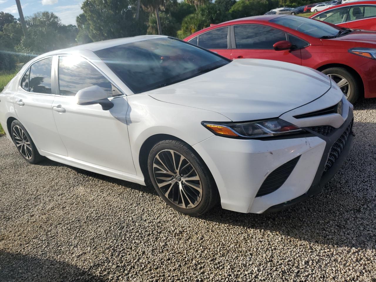 2019 Toyota Camry VIN 4T1B11HK0KU202426 Copart auction photo, water/flood damage thumbnail 4