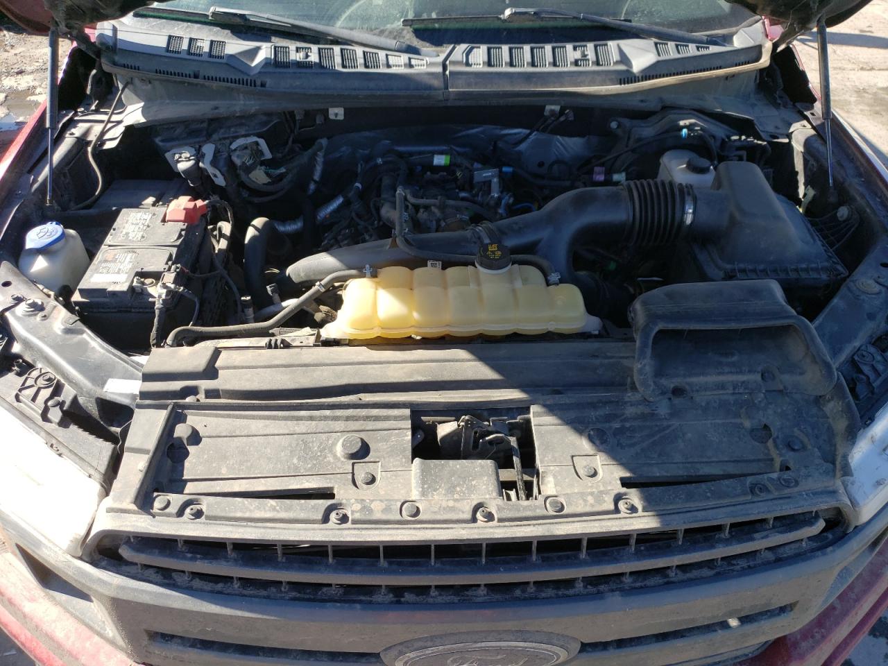 2019 Ford F-150 VIN 1FTEW1EP2KKD26969 Copart auction photo, rear end / hail damage thumbnail 13
