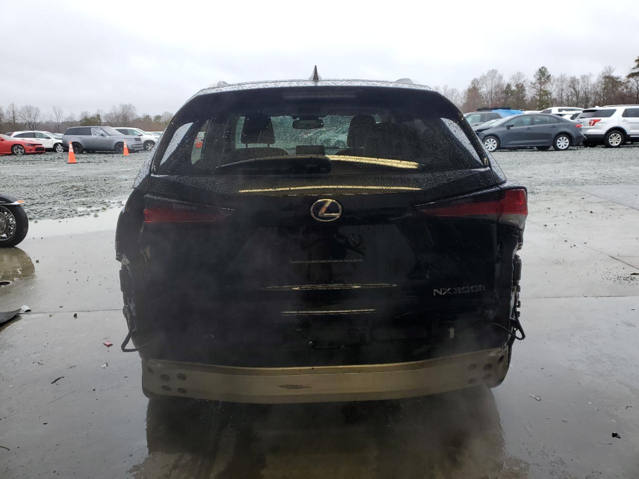 2020 Lexus NX VIN JTJDJRDZ9L2140906 Copart auction photo, rear end / side damage thumbnail 6
