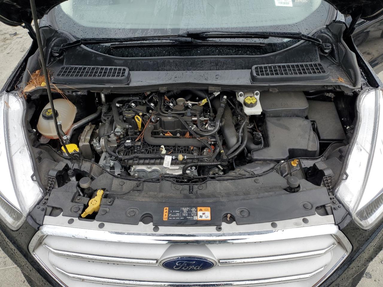 2019 Ford Escape VIN 1FMCU0GD2KUB30959 Copart auction photo, rear end damage thumbnail 13