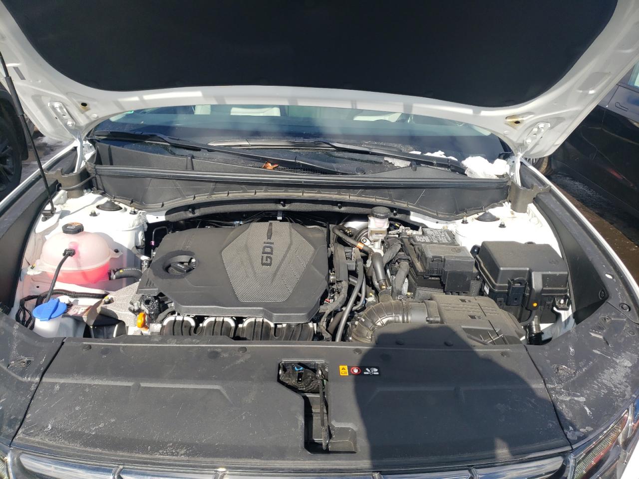2024 Hyundai Tucson VIN 5NMJECDE5RH360276 Copart auction photo, side damage thumbnail 12