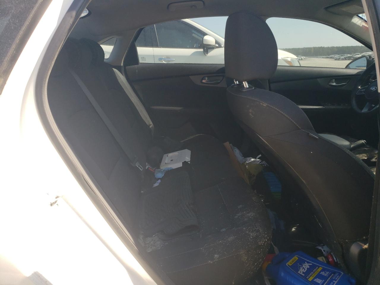 2019 KIA Forte VIN 3KPF24AD9KE123657 Copart auction photo, top/roof damage thumbnail 10
