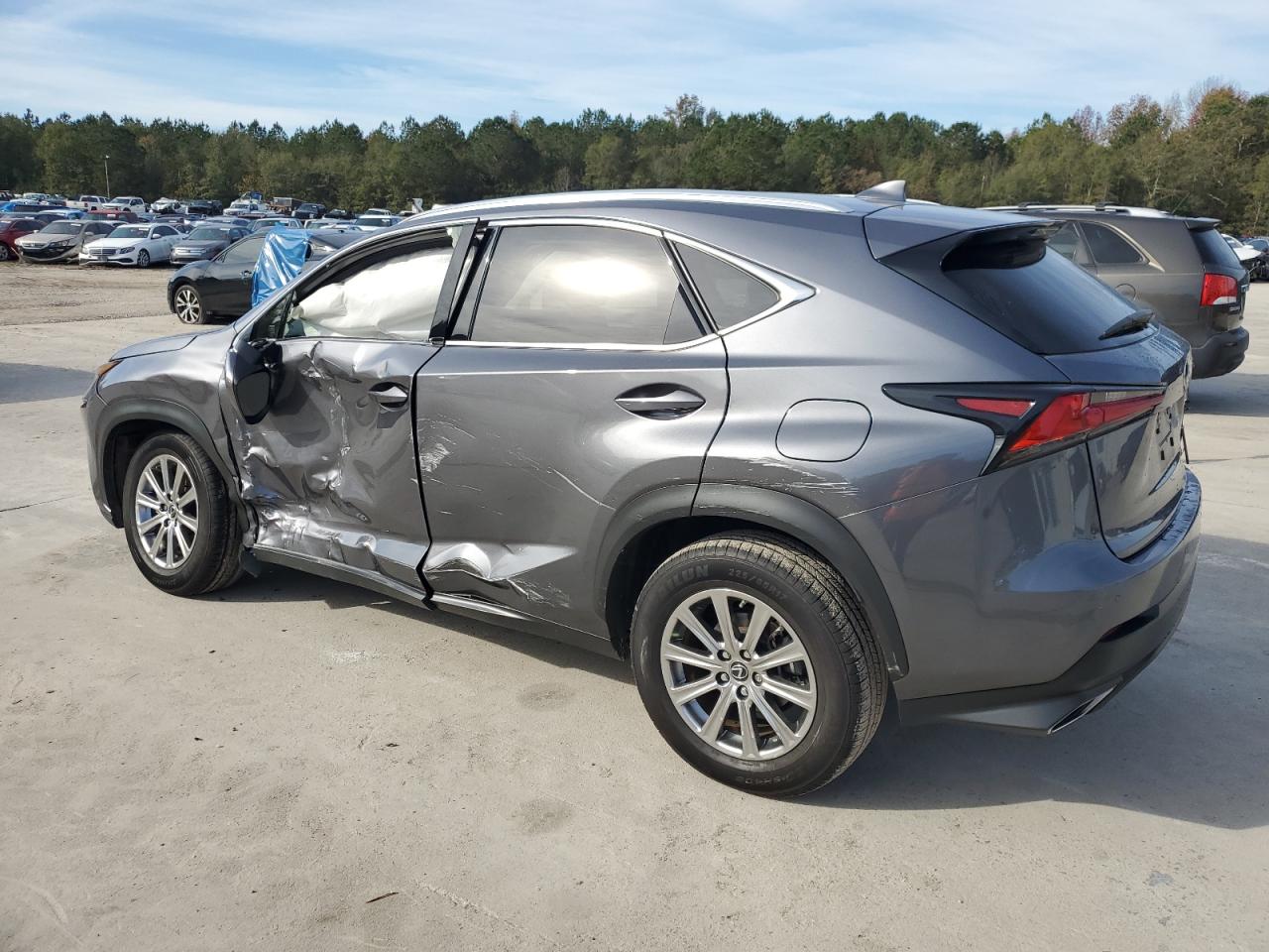 2020 Lexus NX VIN JTJDARDZXL5017811 Copart auction photo, side damage thumbnail 2