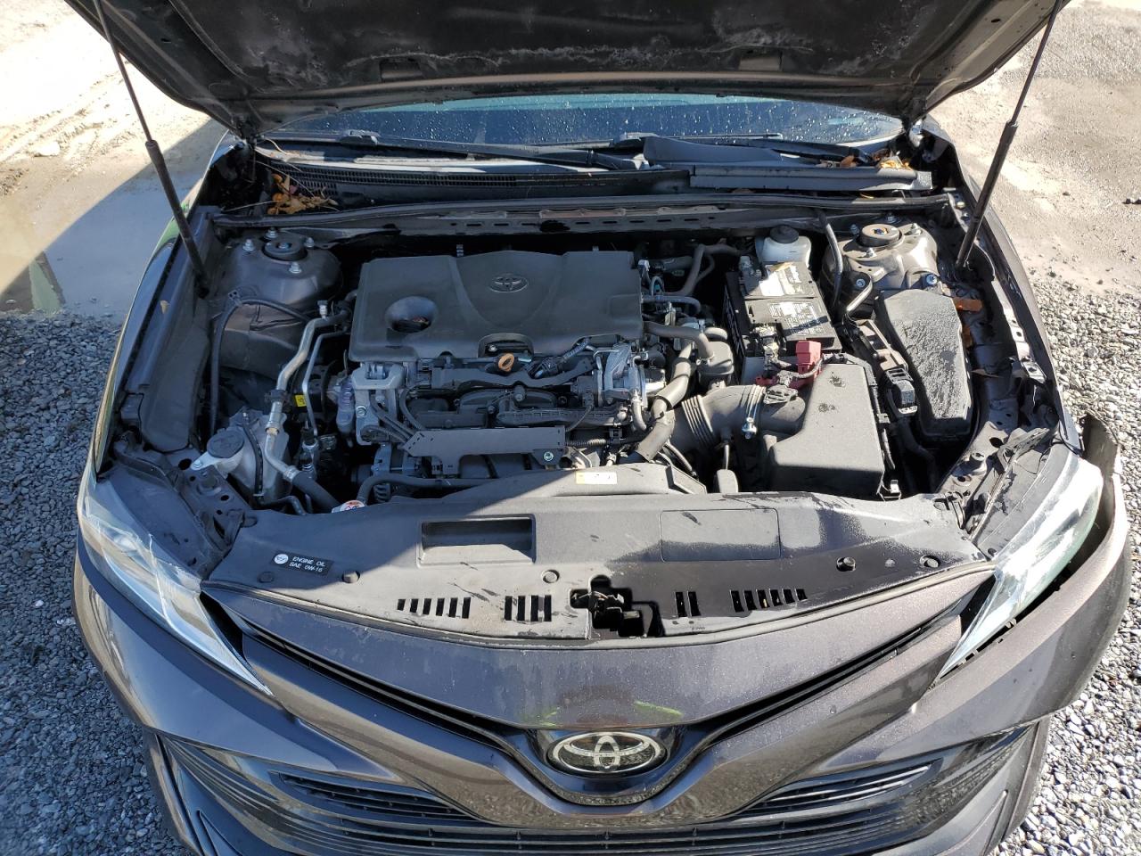 2019 Toyota Camry VIN 4T1B11HK8KU736807 Copart auction photo, side / front end damage thumbnail 12