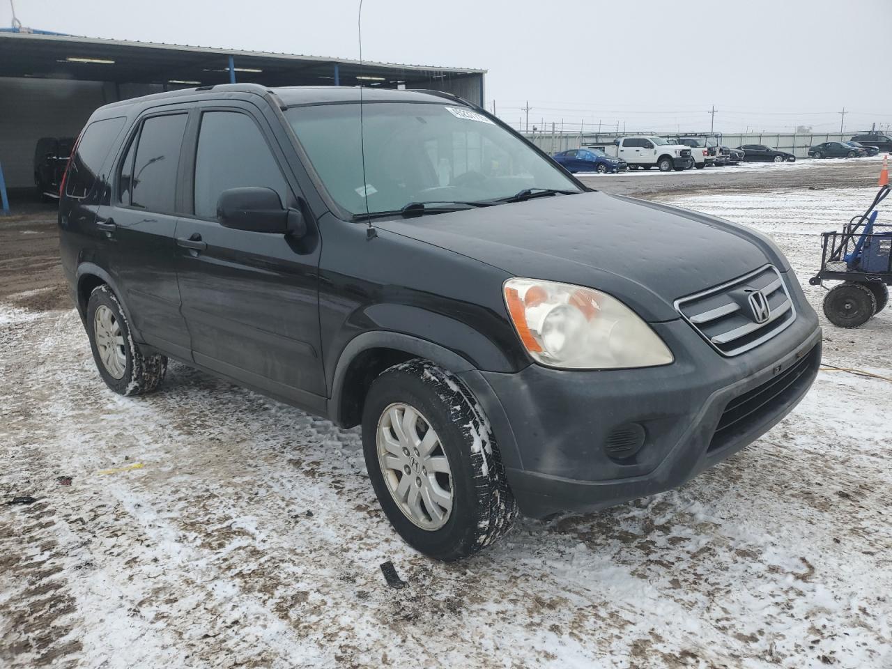 2006 Honda CR-V VIN JHLRD788X6C058139 Copart auction photo, hail damage thumbnail 4