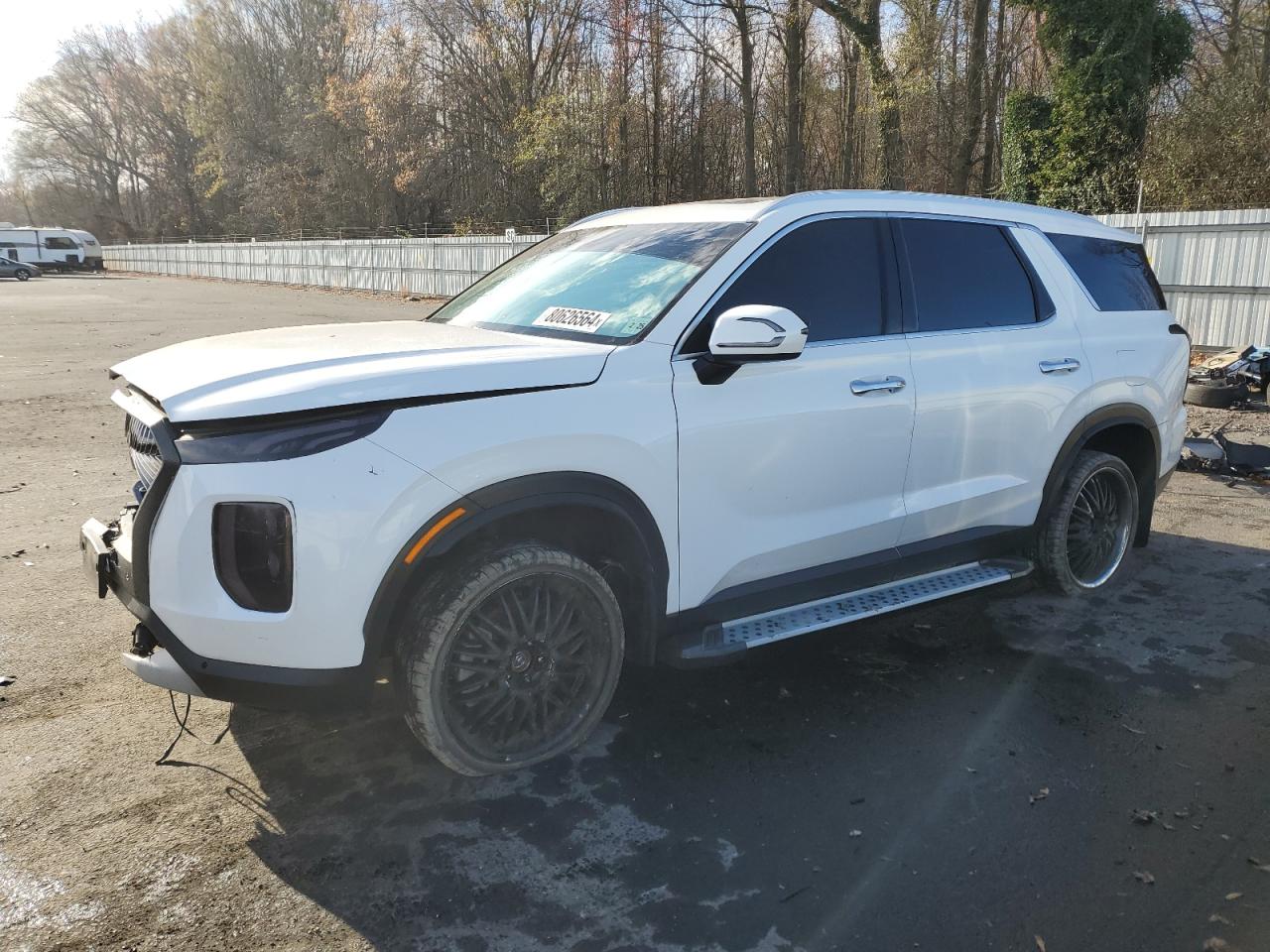 2020 Hyundai Palisade VIN KM8R4DHE6LU096101