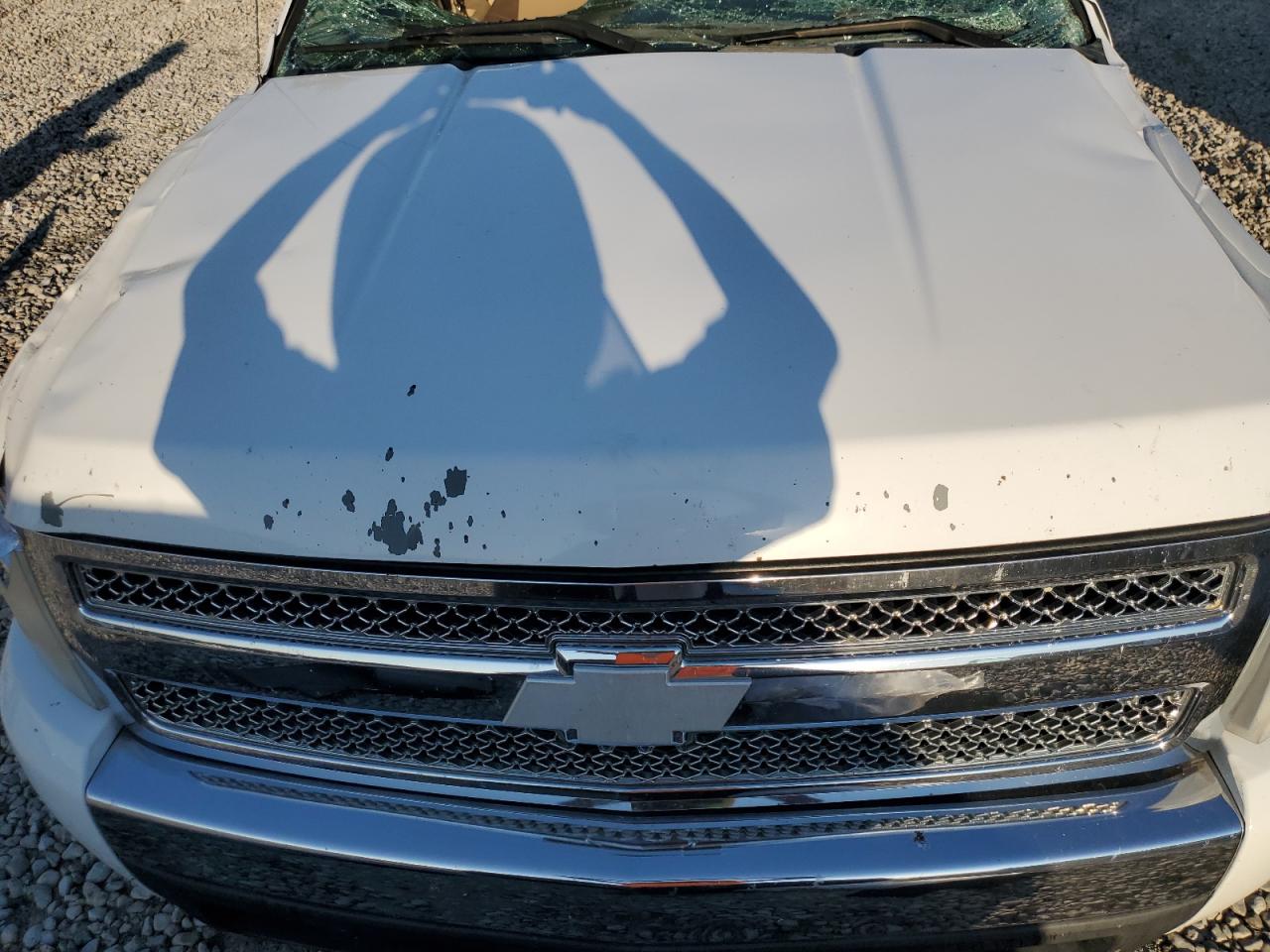 2007 Chevrolet Silverado VIN 2GCEC13C371621191 Copart auction photo, rollover damage thumbnail 11