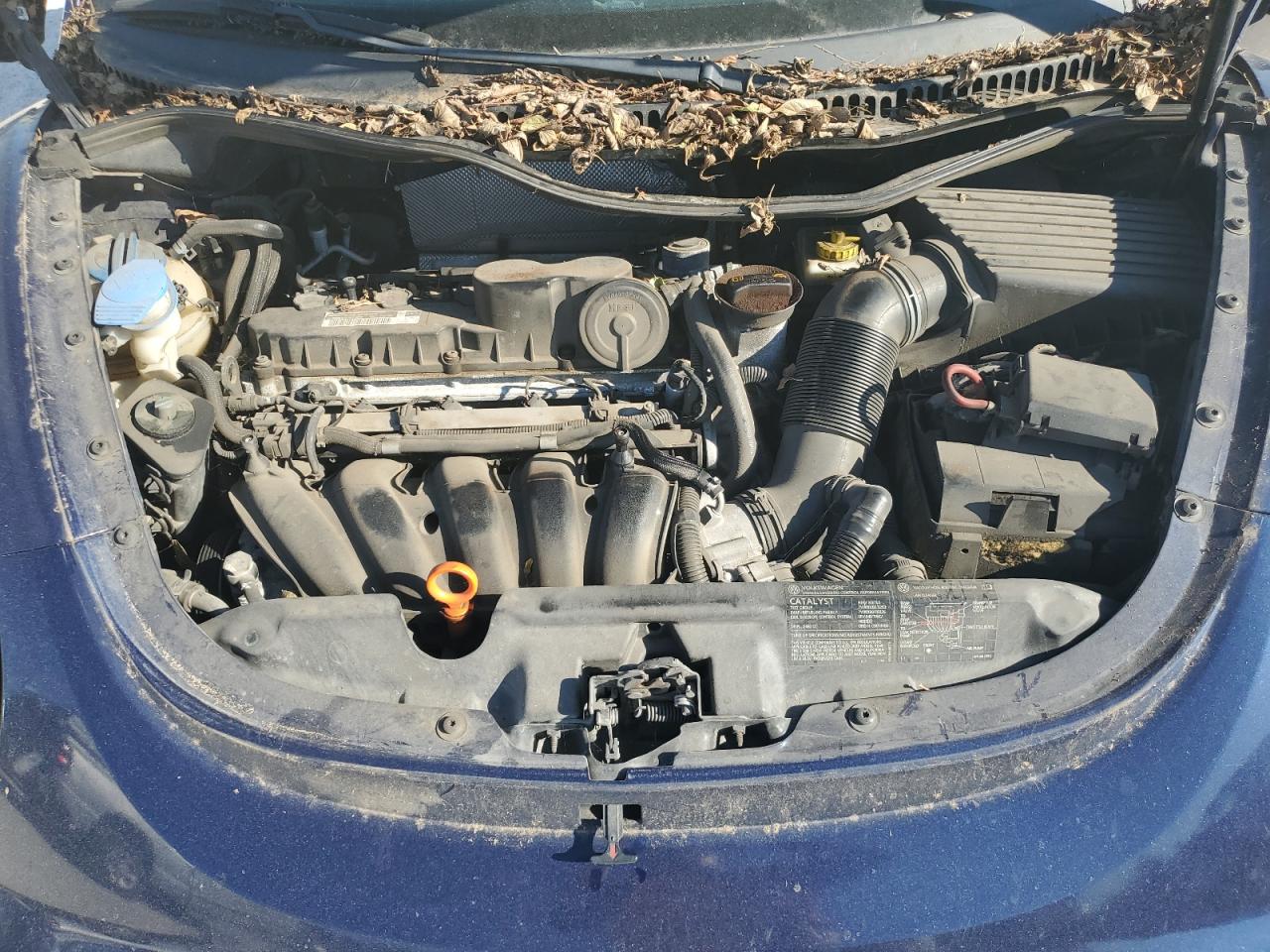2007 Volkswagen Beetle VIN 3VWPW31C97M515753 Copart auction photo, biohazard/chemical damage thumbnail 11