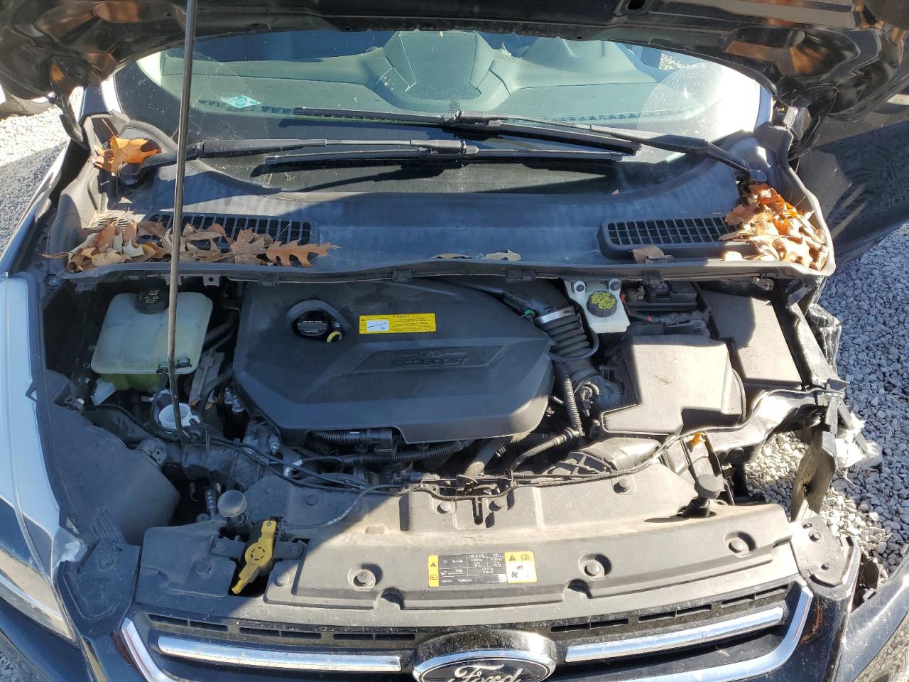 2016 Ford Escape VIN 1FMCU0JX8GUA60622 Copart auction photo, all over / minor dent/scratches damage thumbnail 12