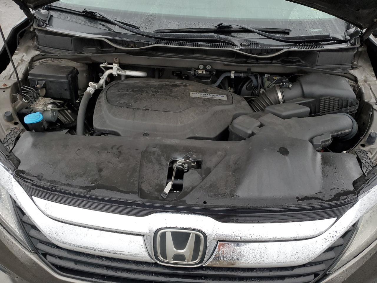 2018 Honda Odyssey VIN 5FNRL6H57JB032870 Copart auction photo, side / rear end damage thumbnail 13
