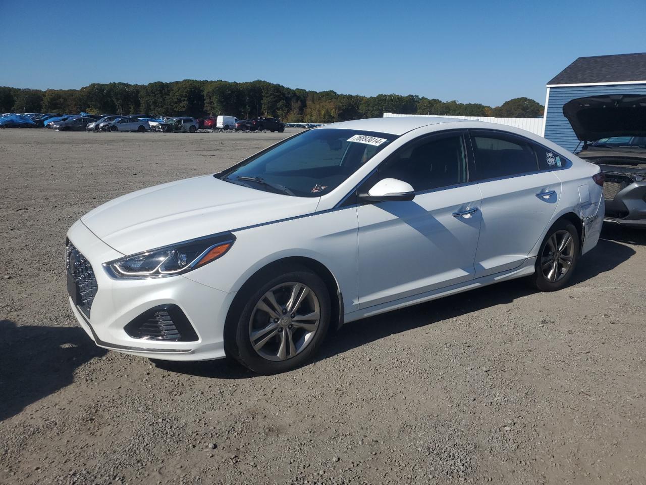 2019 Hyundai Sonata VIN 5NPE34AF8KH781556