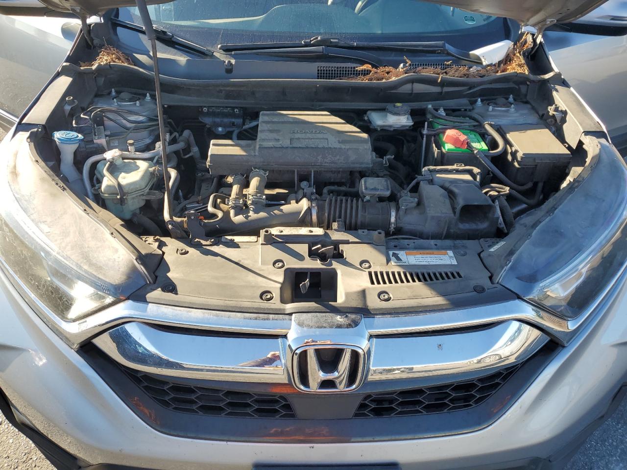 2018 Honda CR-V VIN 7FARW2H88JE021603 Copart auction photo, rear end damage thumbnail 13