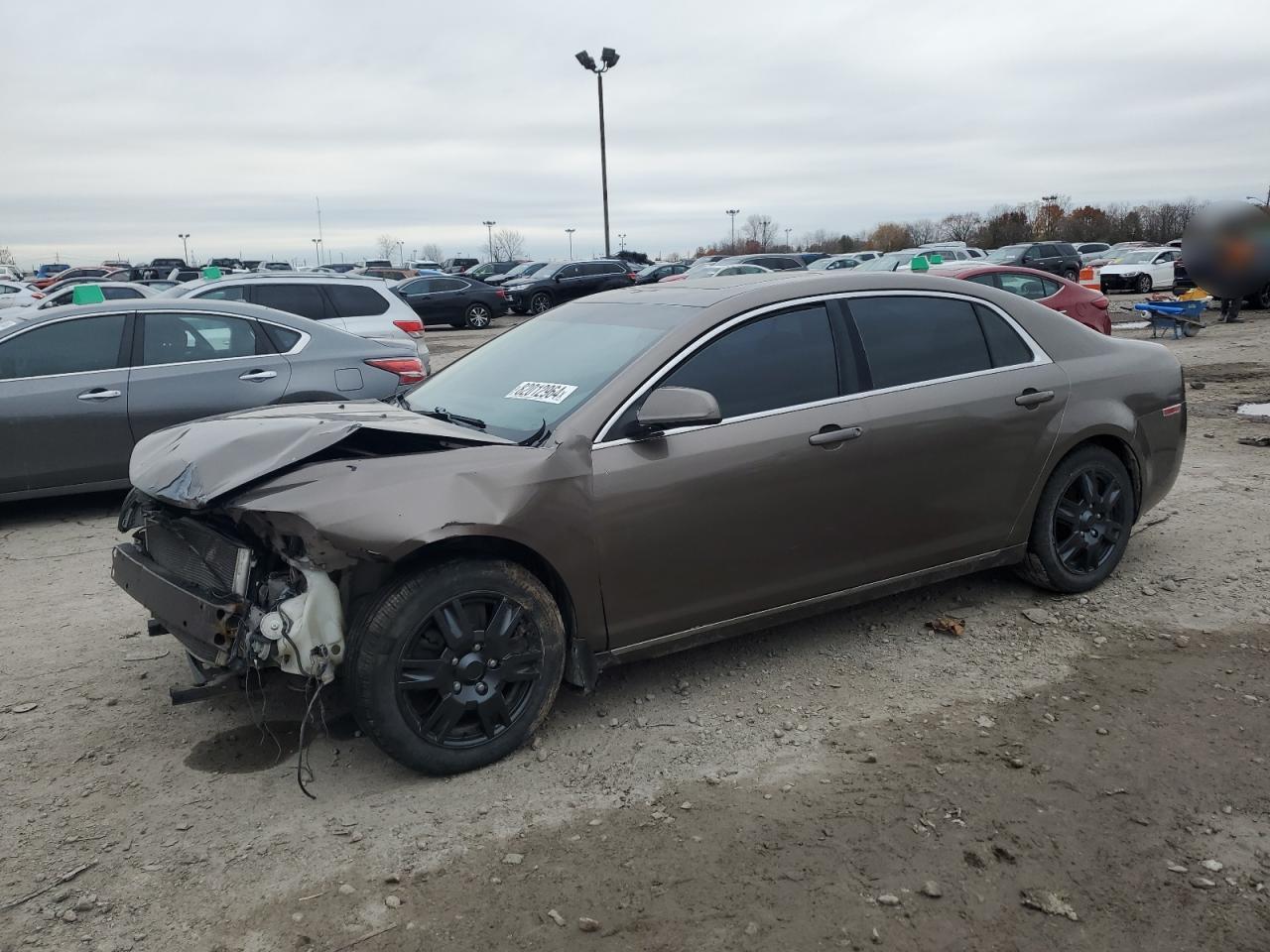 2010 Chevrolet Malibu VIN 1G1ZC5EB1AF256645