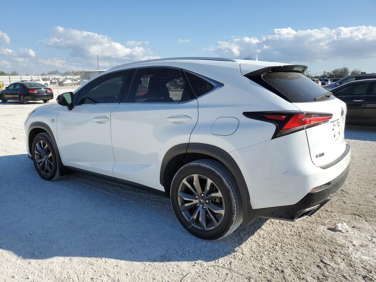 2019 Lexus NX VIN JTJYARBZ7K2123508 Copart auction photo, side damage thumbnail 2