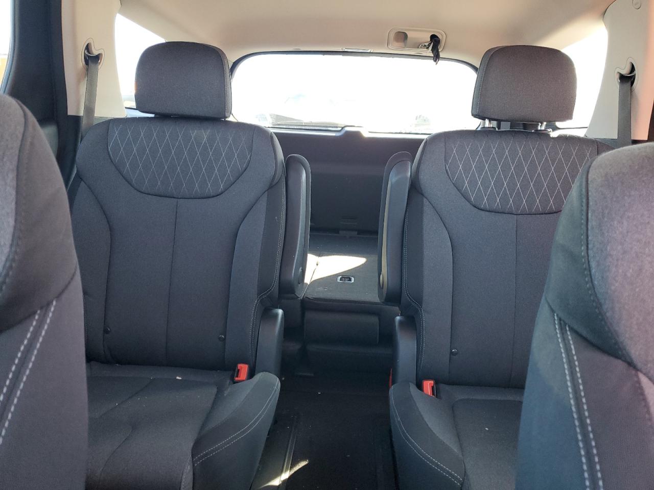 2020 Hyundai Palisade VIN KM8R3DHE2LU082117 Copart auction photo, front end damage thumbnail 10