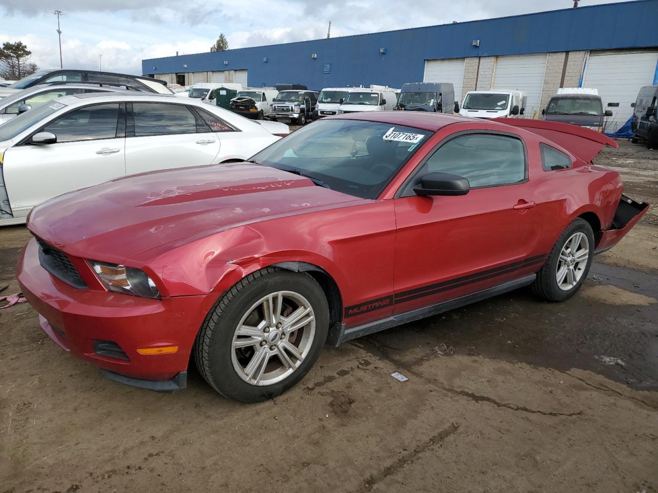 2010 Ford Mustang VIN 1ZVBP8AN4A5156234