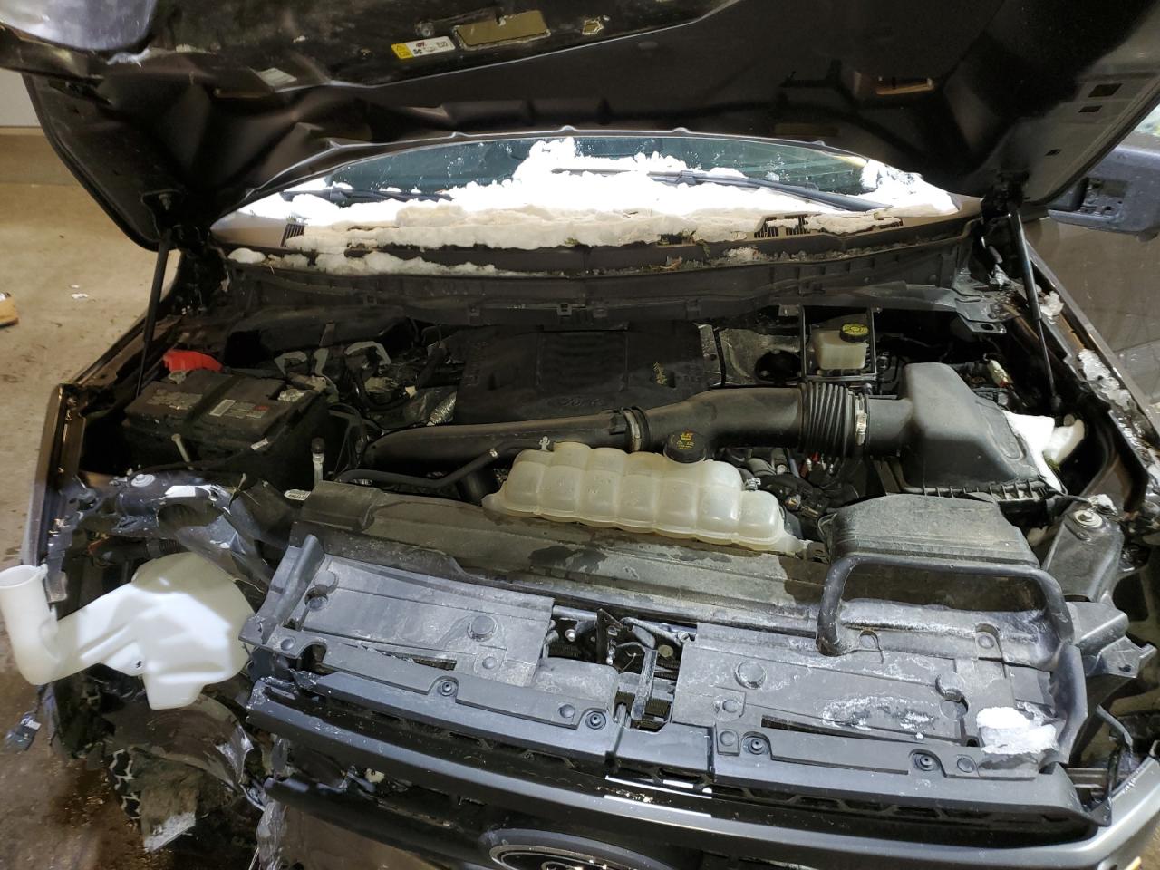 2021 Ford F-150 VIN 1FTEW1E89MFC15310 Copart auction photo, front end damage thumbnail 11