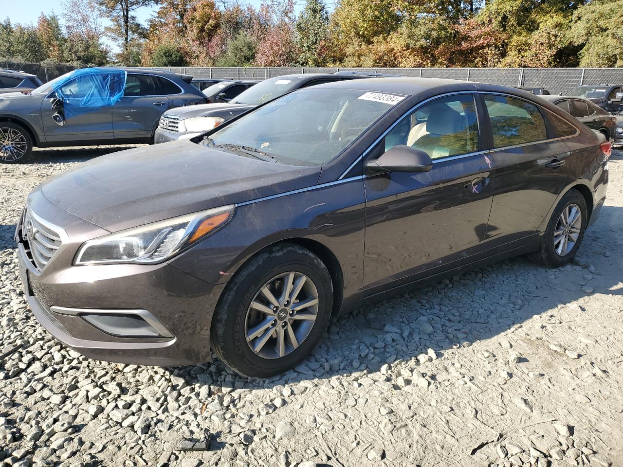2016 Hyundai Sonata VIN 5NPE24AF1GH395751