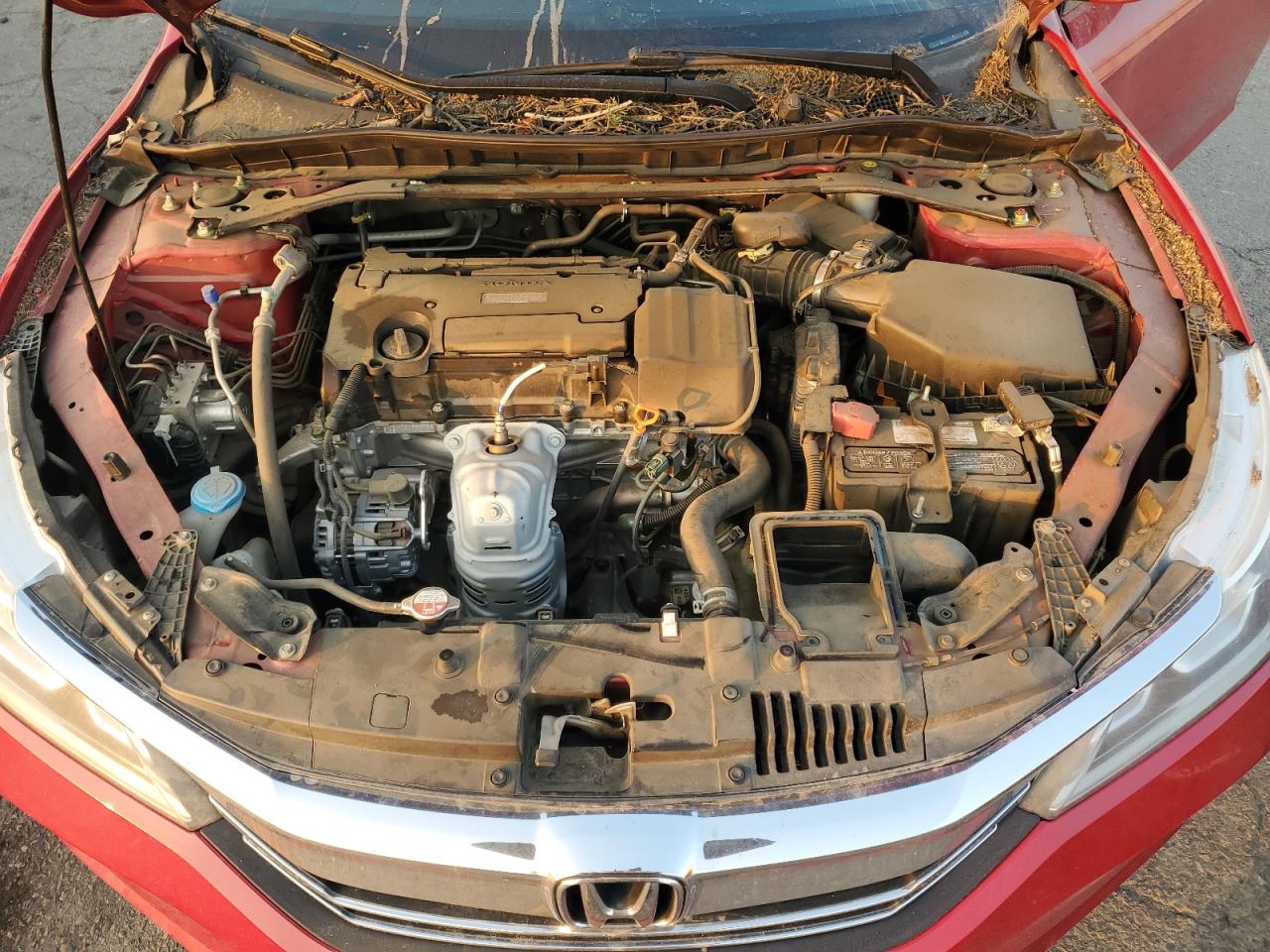 2017 Honda Accord VIN 1HGCR2F51HA242000 Copart auction photo, top/roof damage thumbnail 11