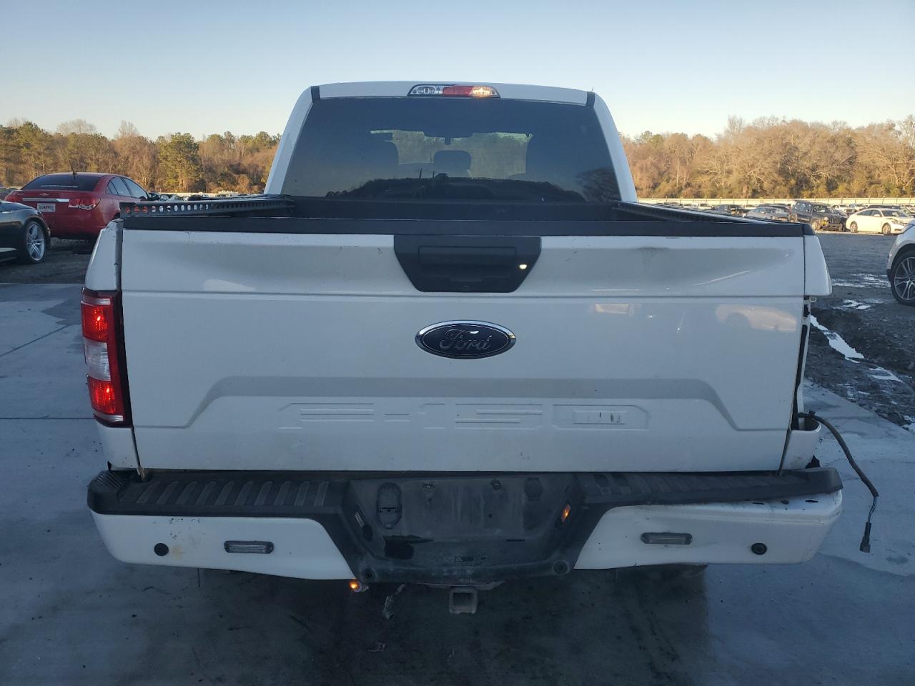 2020 Ford F-150 VIN 1FTEW1E59LFC15814 Copart auction photo, all over damage thumbnail 6