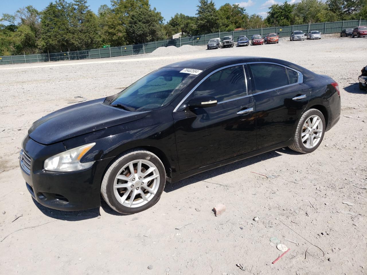 2009 Nissan Maxima VIN 1N4AA51E49C813917