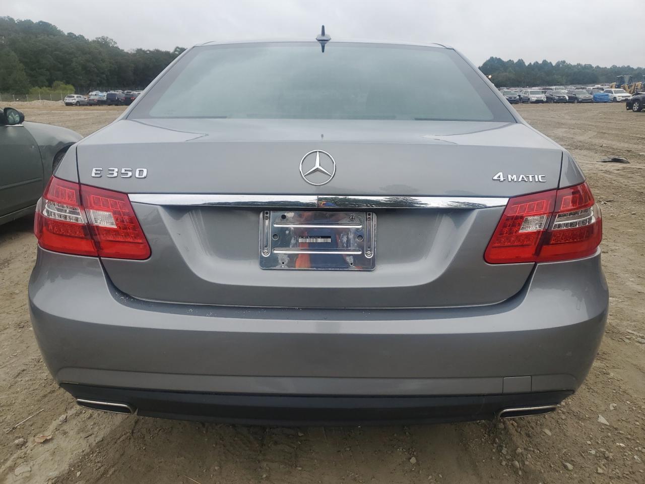 2010 Mercedes-Benz E-klasse VIN WDDHF8HB6AA098278 Copart auction photo, side damage thumbnail 6