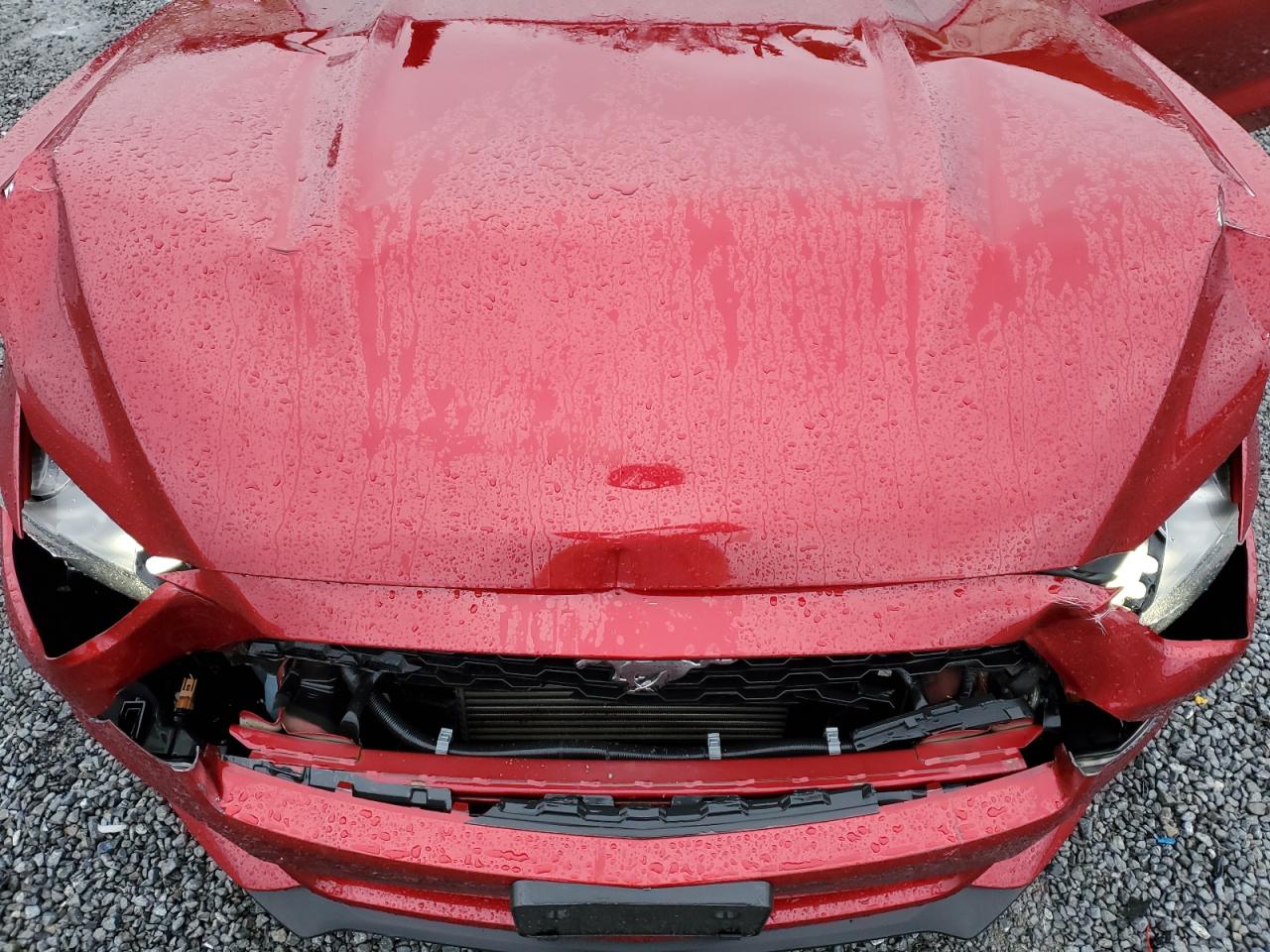 2016 Ford Mustang VIN 1FATP8UH4G5210708 Copart auction photo, front end damage thumbnail 11