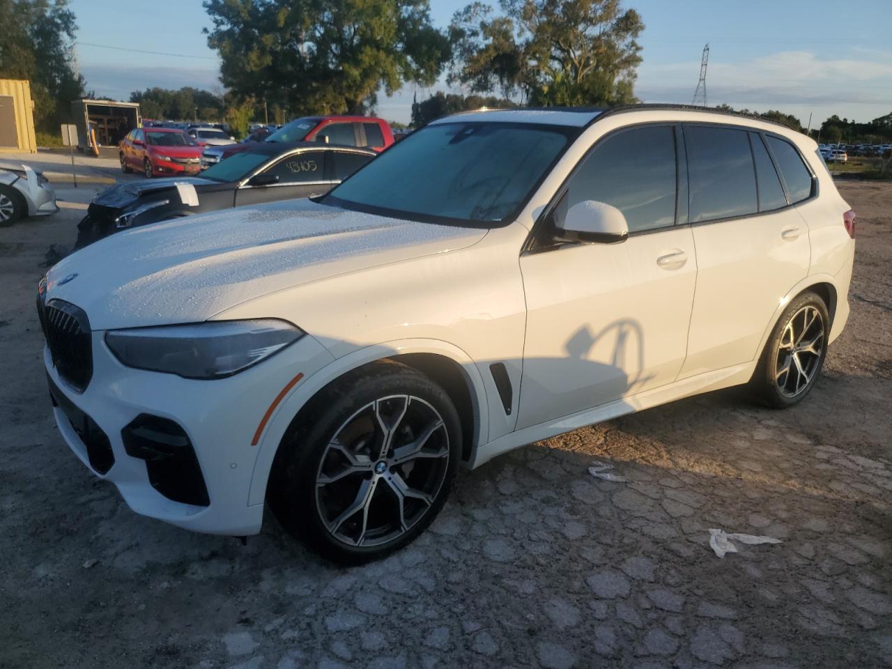 2023 BMW X5 VIN 5UXCR4C04P9R99314