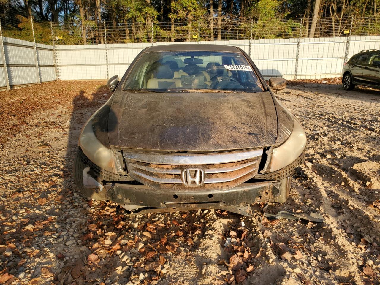 2012 Honda Accord VIN 1HGCP2F49CA023520 Copart auction photo, front end damage thumbnail 5
