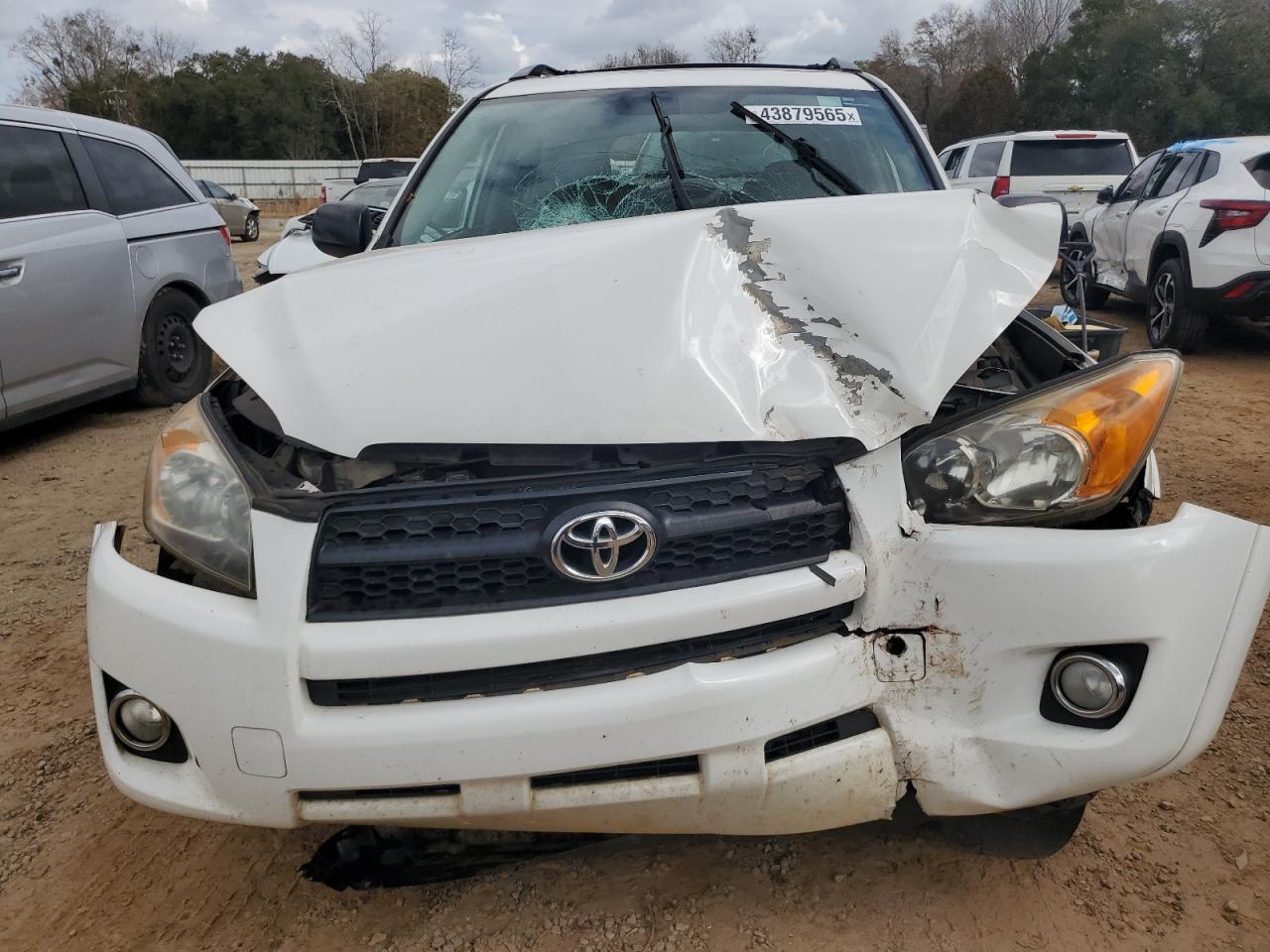 2009 Toyota RAV 4 VIN JTMZF32V39D010219 Copart auction photo, all over damage thumbnail 5