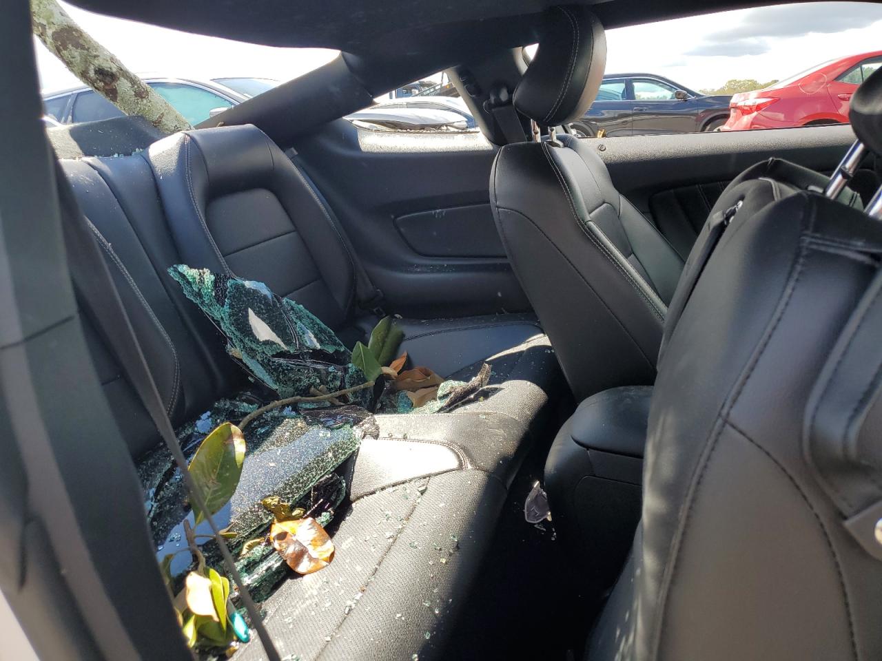 2019 Ford Mustang VIN 1FA6P8CF6K5199619 Copart auction photo, top/roof / rear end damage thumbnail 10
