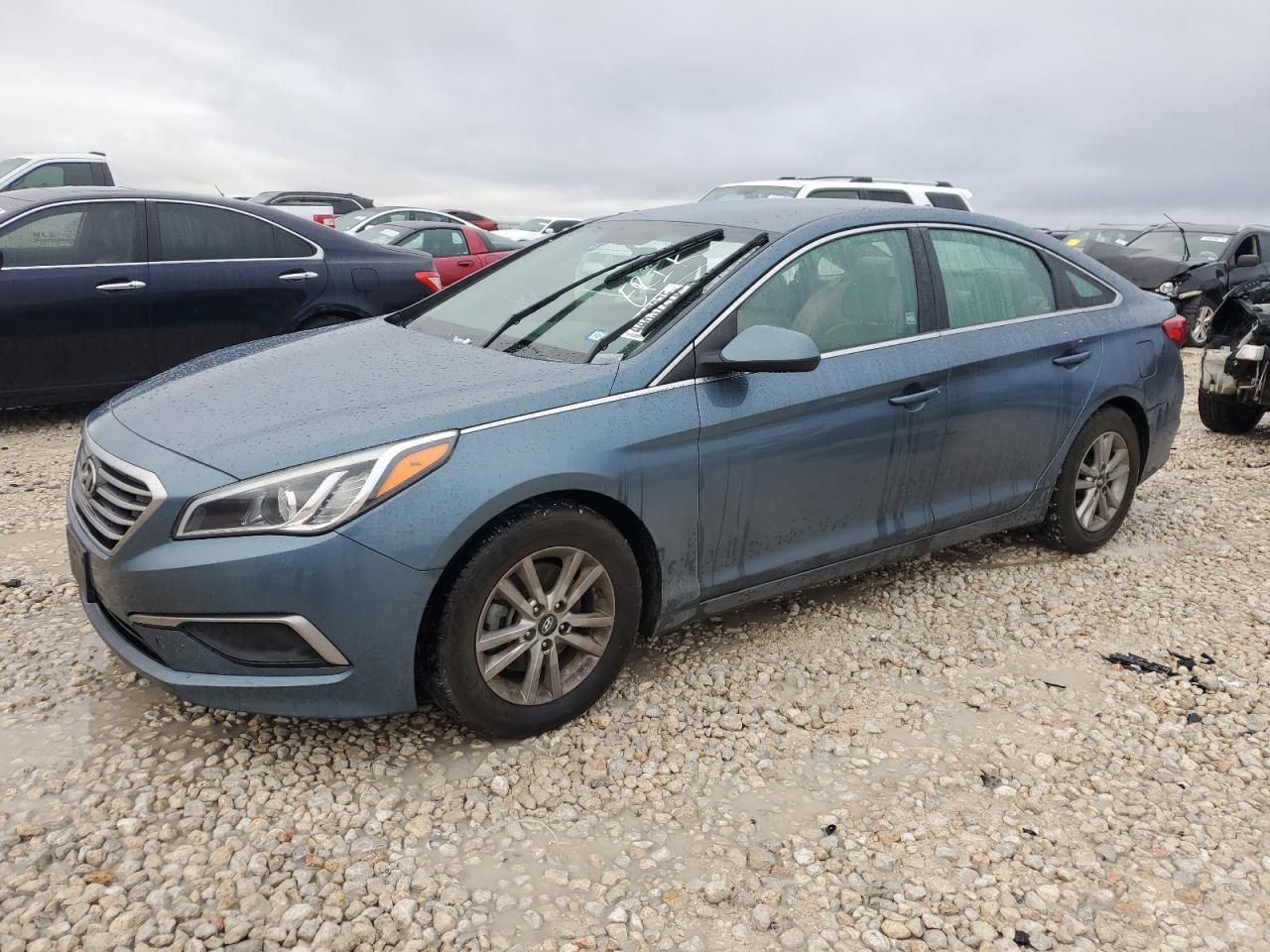 2017 Hyundai Sonata VIN 5NPE24AF5HH591967