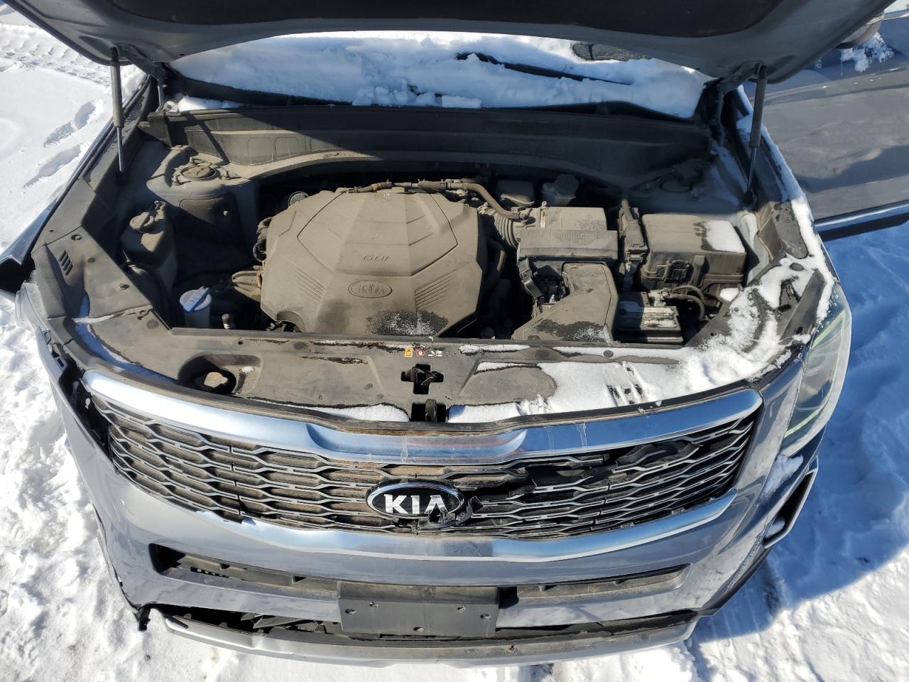 2020 KIA Telluride VIN 5XYP34HC3LG003615 Copart auction photo, front end damage thumbnail 12