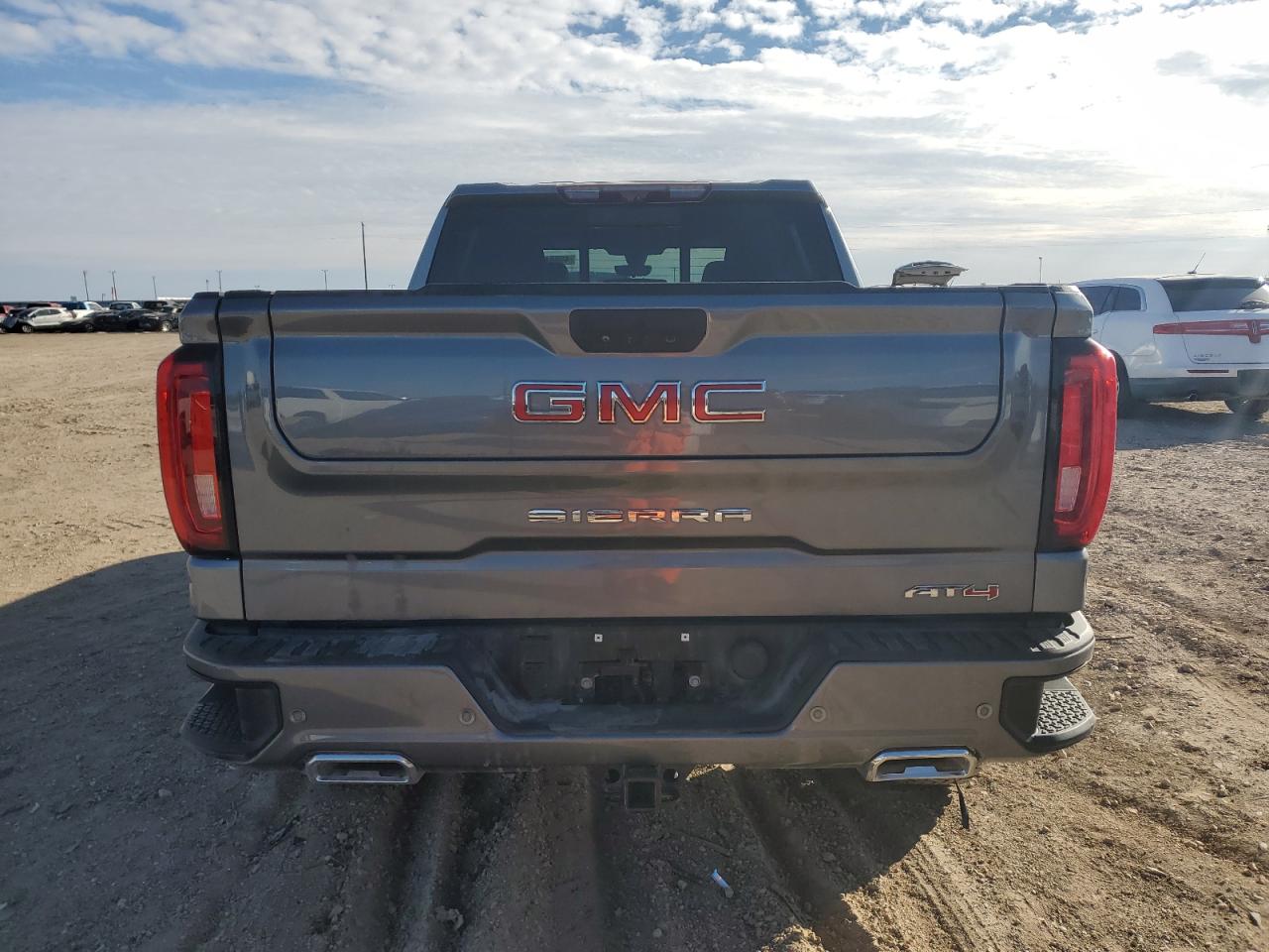 2020 GMC Sierra VIN 3GTU9EET9LG160854 Copart auction photo, side damage thumbnail 6