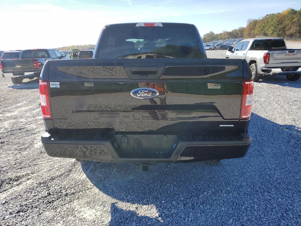 2020 Ford F-150 VIN 1FTEW1CP1LFA81434 Copart auction photo, front end / rear end damage thumbnail 6