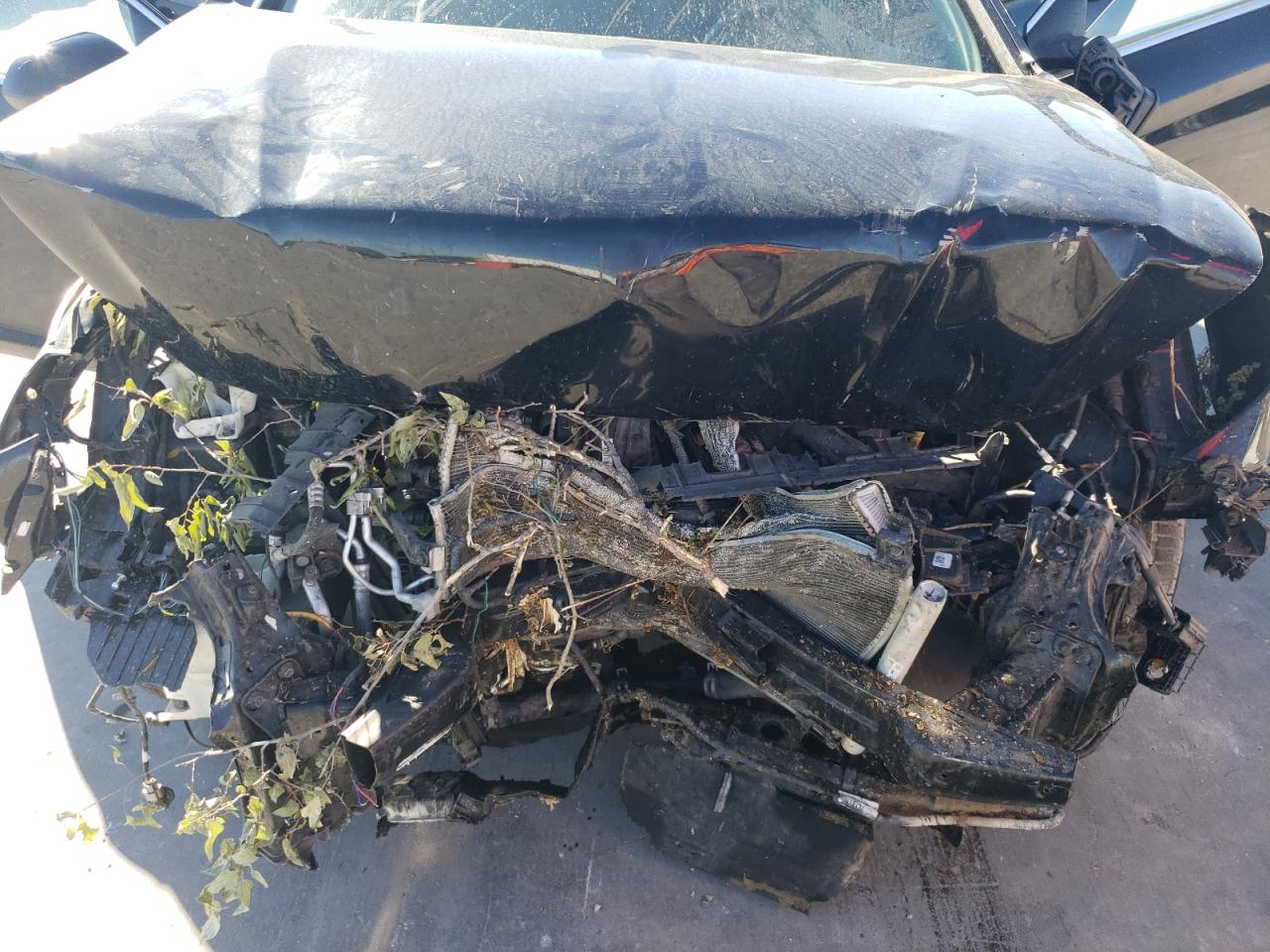 2019 Hyundai Sonata VIN 5NPE24AF5KH743110 Copart auction photo, front end damage thumbnail 13