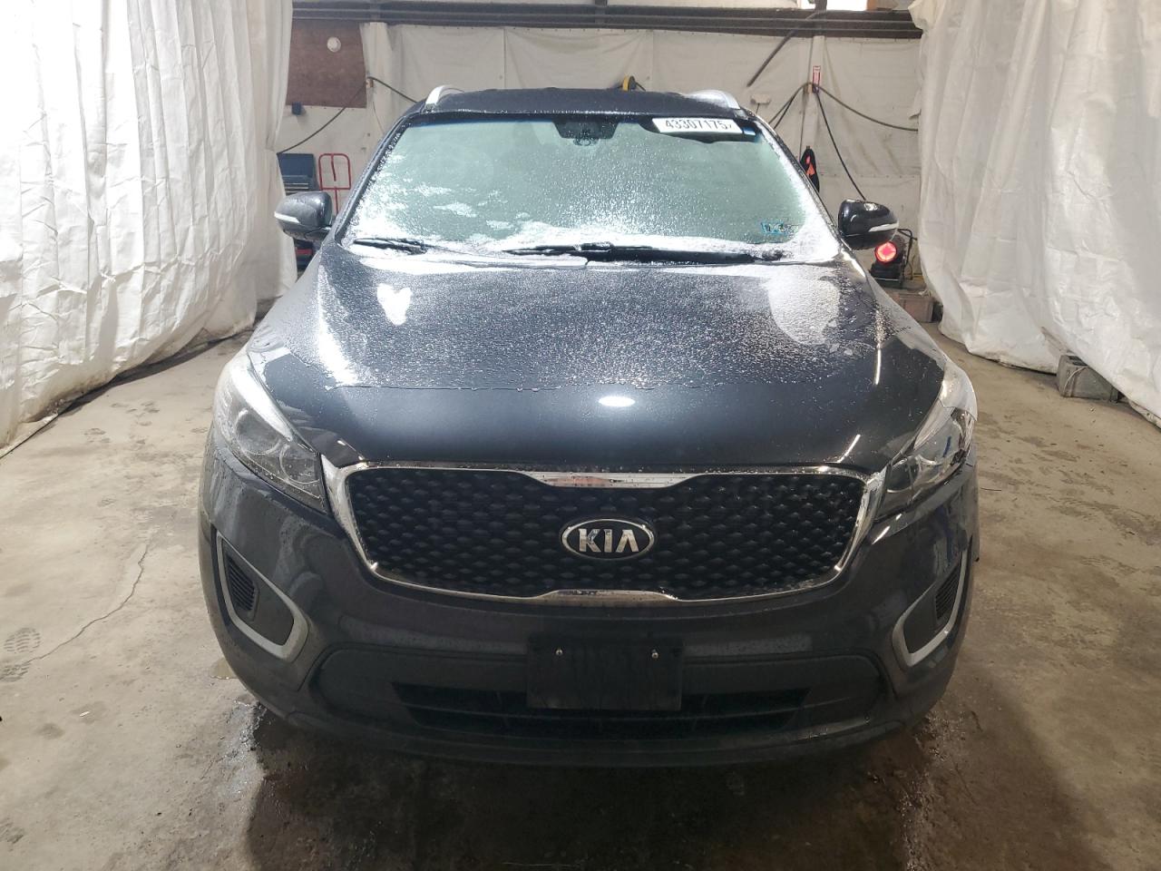 2017 KIA Sorento VIN 5XYPGDA37HG246995 Copart auction photo, front end / side damage thumbnail 5