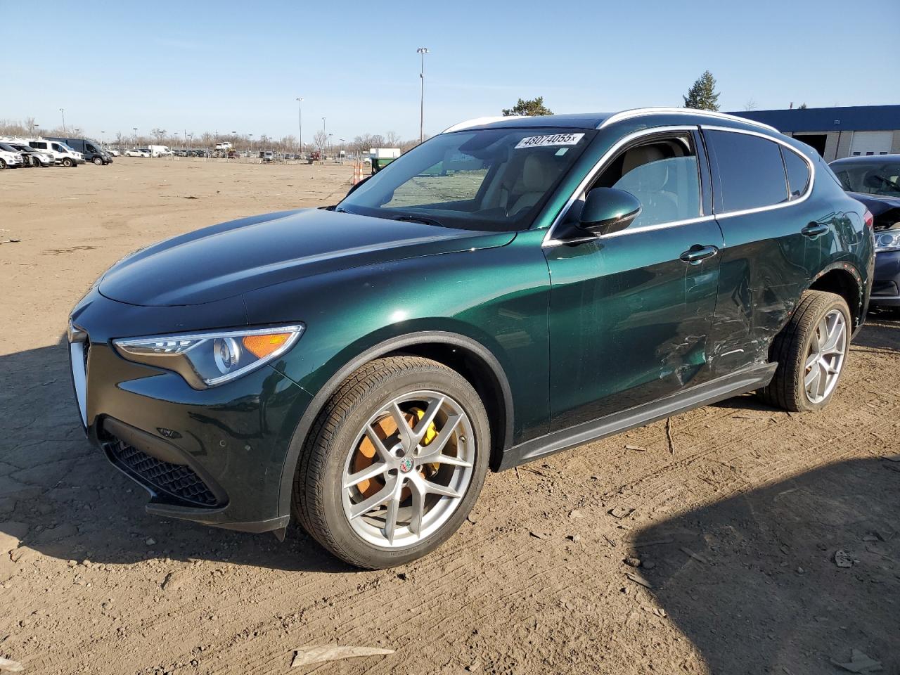 2019 Alfa Romeo Stelvio VIN ZASPAKBN9K7C43906 - Copart auction photo