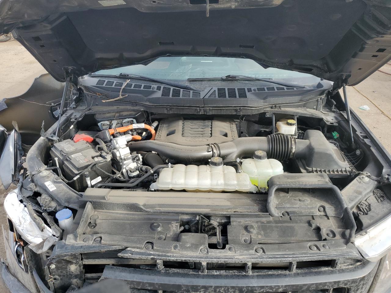 2023 Ford F-150 VIN 1FTFW1ED5PFC55373 Copart auction photo, front end damage thumbnail 13