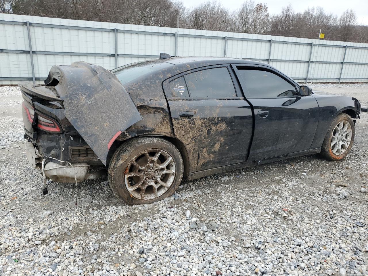 2016 Dodge Charger VIN 2C3CDXJGXGH223453 Copart auction photo, all over damage thumbnail 3